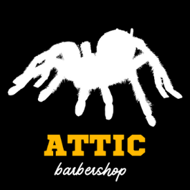 Attic barbershop